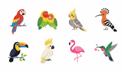 Different parrots and exotic bird flat icon set with macaw toucan flamingo and hummingbird isolated on white © MdNaim