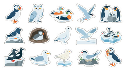 Obraz premium Flat Vector Sticker Collection: Cute Arctic and Sea Birds Illustrations - Penguins, Puffins, Owls, Gulls, Ducks