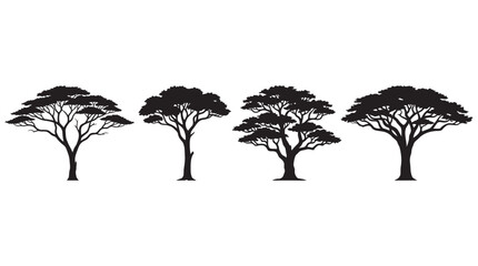 Four Acacia Trees In Silhouette Against A White Background Silhouette © MDAbdul
