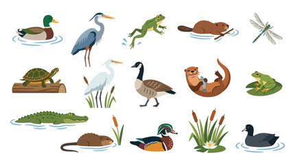 Naklejka premium Flat Style Vector Illustration of Wetland Wildlife Animals, Nature Icons