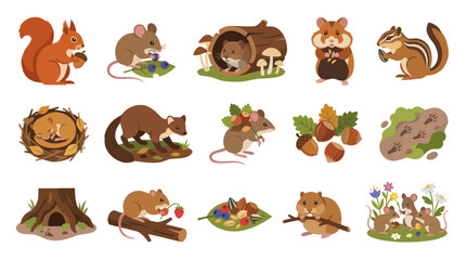 Obraz premium Cute Forest Animals Vector Set. Woodland Mammals Rodents: Squirrel, Mouse, Hamster, Chipmunk Flat Cartoon Illustration