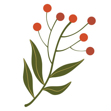 Autumn Red Berry Branch with Green Leaves