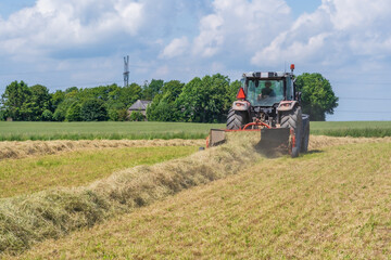 Fototapeta premium Red tractor raking hay on a sunny summer field