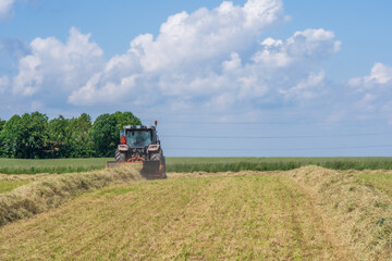 Fototapeta premium Red tractor raking hay on a sunny summer field