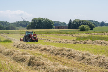Fototapeta premium Red tractor raking hay on a sunny summer field