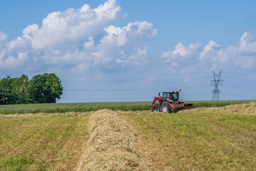 Fototapeta premium Red tractor raking hay on a sunny summer field