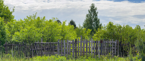 Obraz premium Rustic wooden fence lines lush green trees