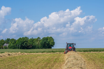 Fototapeta premium Red tractor raking hay on a sunny summer field