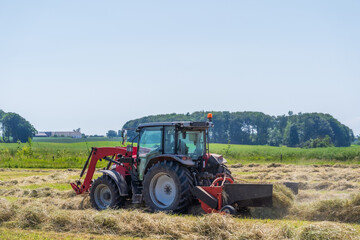Obraz premium Red tractor raking hay on a sunny summer field