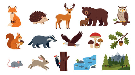 Obraz premium Nature and Wildlife Flat Vector Illustration Set: Forest Animals, Birds, Mushrooms, River Mountain Ecosystem Elements