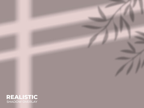 Realistic Window and Leaf Shadow Overlay Effect, Aesthetic Plant Branch Light Cast on Neutral Mauve Wall Background