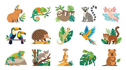Fototapeta premium Cute Flat Vector Exotic Wildlife Animals Characters Collection for Nature and Educational Content
