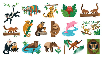 Fototapeta premium Flat Vector Illustration Set of Amazon Rainforest Wildlife Animals. South American Nature Ecology Creatures