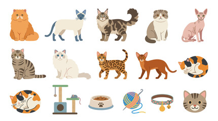 Fototapeta premium Flat Vector Illustration Set of Diverse Cat Breeds and Pet Accessories Collection for Feline Lovers