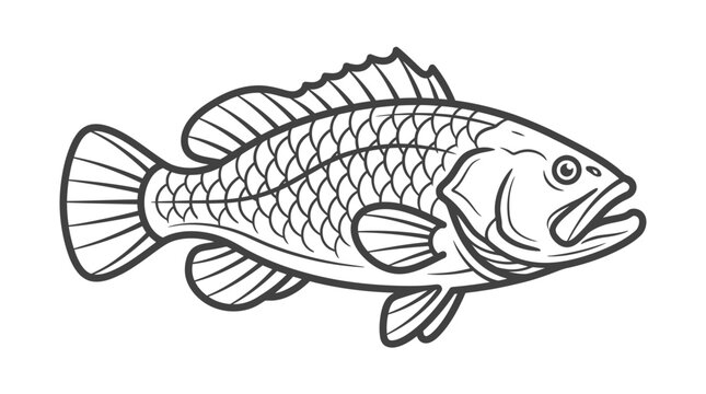 Detailed line art drawing of a fish with scales.