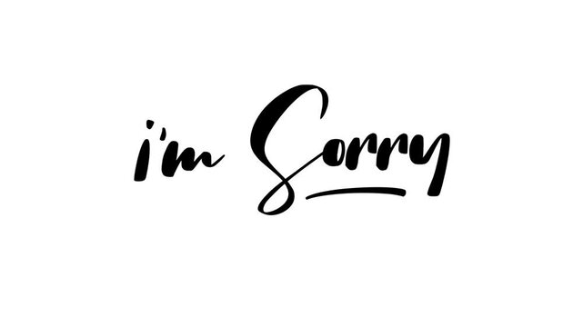 I am sorry animation words. Text, lettering, inscription, Kinetic typography. alpha channel 4k