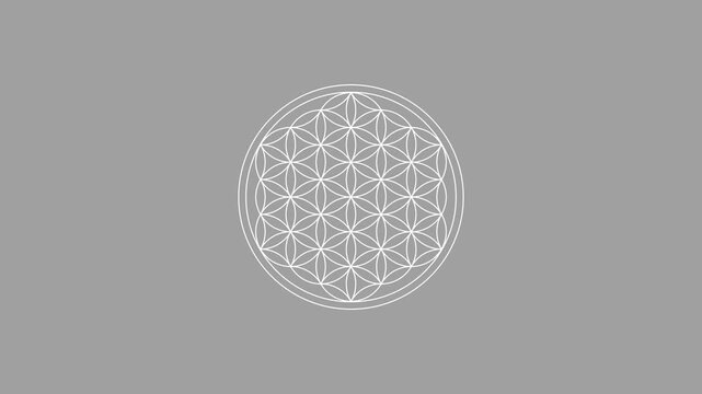 Flower of Life Breath Loop - Meditation Background