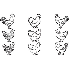Fototapeta premium Chicken Breed Outline Collection Featuring Rooster Hen and Domestic Poultry Vector Set