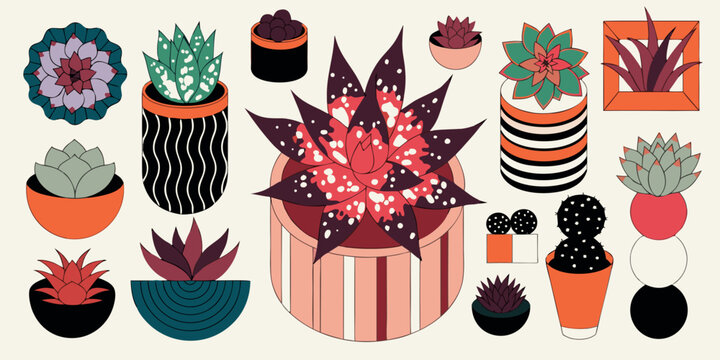 Assorted potted plants with various cacti and succulents in different pots and containers succulent container botanical vegetation terracotta thriving arrangement decorative outdoors