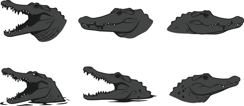 Cartoon alligator heads collection