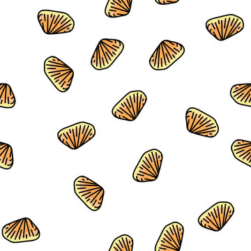 donax clam vector seamless pattern donax clam sign illustration