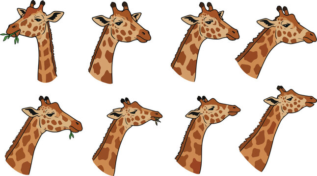 Giraffe head illustrations pattern graphic design