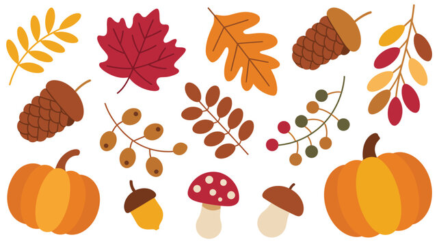 Diverse autumn season elements featuring foliage, pumpkins, pine cones, and mushrooms