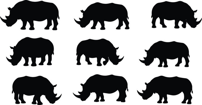 Rhinoceros silhouettes in various positions