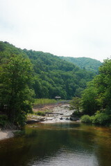 Fototapeta premium Mountain Valley Stream with Traditional Pavilion Bridge Surrounded by Lush Green Forest