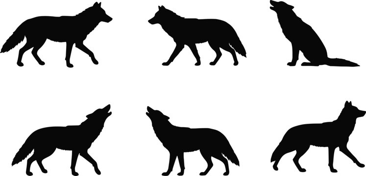 Silhouette of wolves in different poses