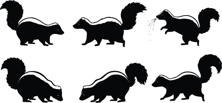 Skunk silhouettes black and white animal illustration