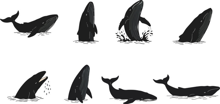 Whale silhouettes in various poses