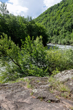 structure of the rocky bottom of the riverbank during the spring flowering of herbs and plants, variety of stone species, close-up