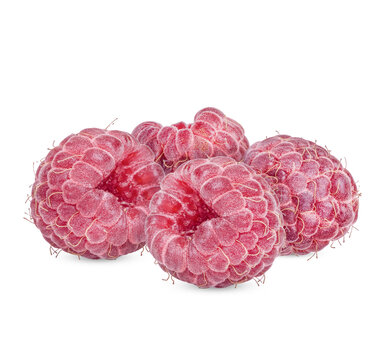 Fresh raspberry isolated on transparent background (.PNG)