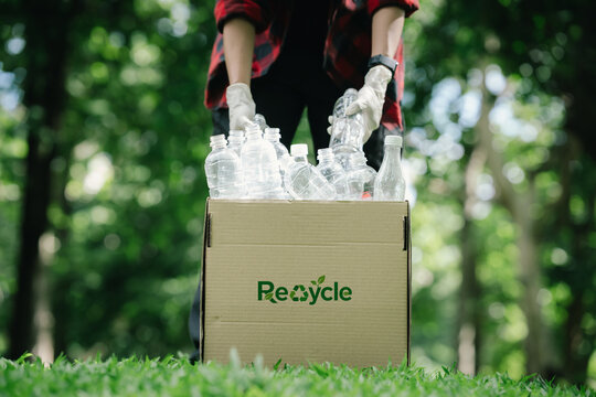 Volunteer sorting and collecting used plastic bottles into a recycling box in a green park, supporting sustainability, waste reduction, environmental protection, and eco-friendly practices.