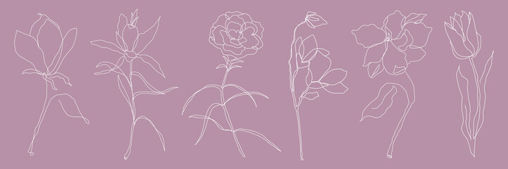Minimal floral vector set of delicate white line art flowers on mauve background © Rawpixel.com