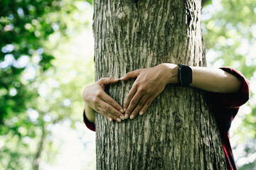Person hugging a tree in a forest, expressing love for nature, environmental conservation, sustainability, biodiversity protection, and a deep connection with the natural world. © Witoon