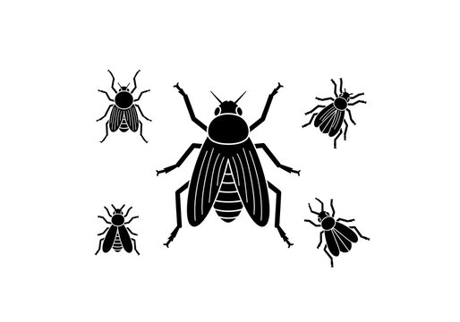 Black Flies Silhouette Isolated on White Background