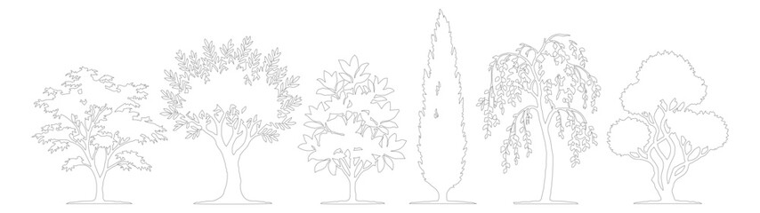 Fototapeta premium Minimalist tree line art collection, set of 6 architectural tree silhouettes, thin black outline botanical sketches for landscape design and site plans