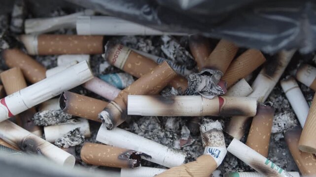 Inside of a street bin ashtray tray densely packed with cigarette butts and gray ash with black plastic bag visible at the top edge in wide frame