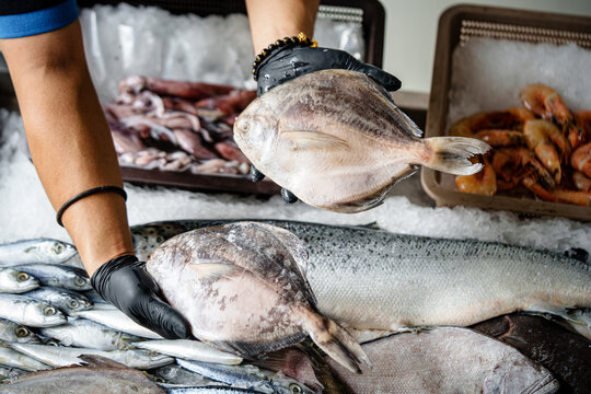 Close up of a seafood worker wearing black gloves holding fresh pomfret fish above assorted fish and prawns on ice at a seafood market counter