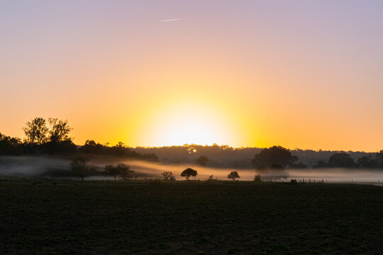 Rural farm landscape scene with mist ribbons settled over distant paddocks at dawn