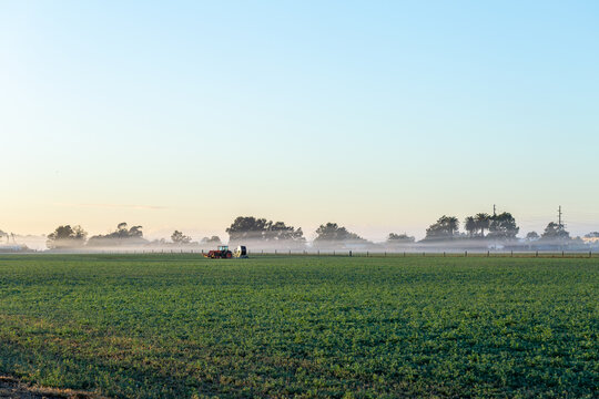 Tractor in farm lucerne crop paddock with mist settled on horizon line