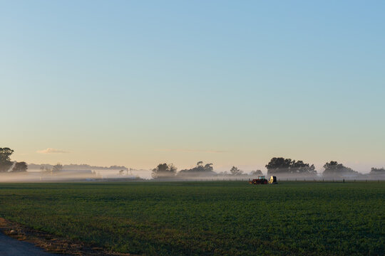 Tractor in farm lucerne crop paddock with mist settled on horizon line