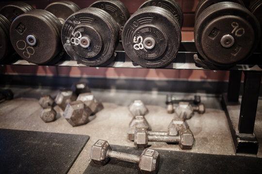 Close up of heavy dumbbells on a rack in a gym