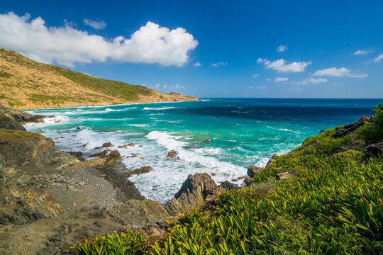 Rough turquoise waves crash on a rocky coast