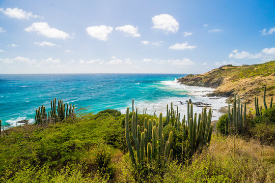 Tropical island coastline with cacti and turquoise water
