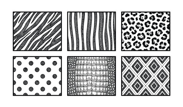 Collection of six monochrome animal print and geometric pattern textures