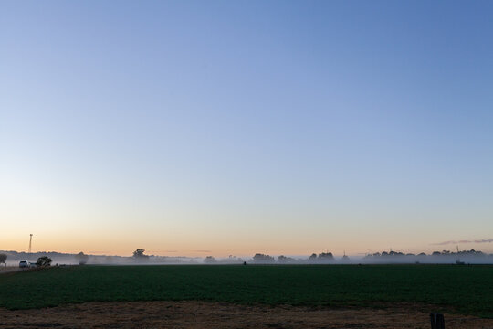 farm landscape scene with mist ribbons settled over distant crop paddock at dawn