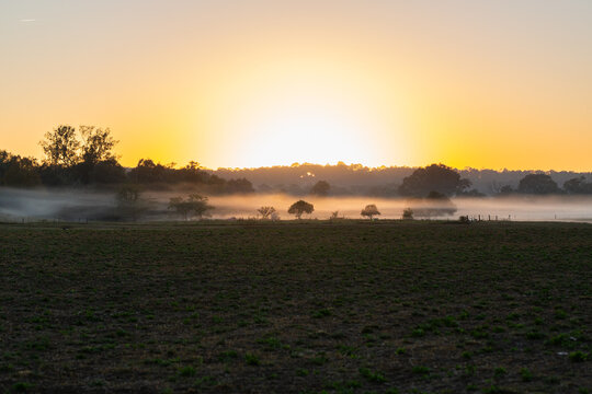 Rural farm landscape scene with mist ribbons settled over distant paddocks at dawn